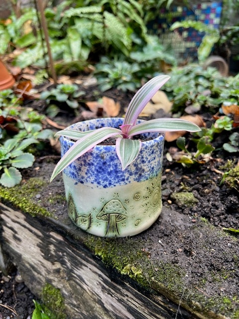 Handmade ceramic plant pot with blue splatter glaze and sgraffito mushroom design, with live plant included