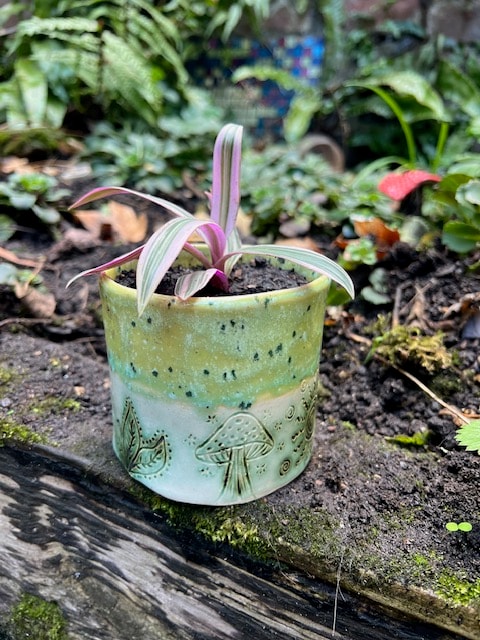 Handmade ceramic plant pot with green splatter glaze and sgraffito mushroom design, with live plant included